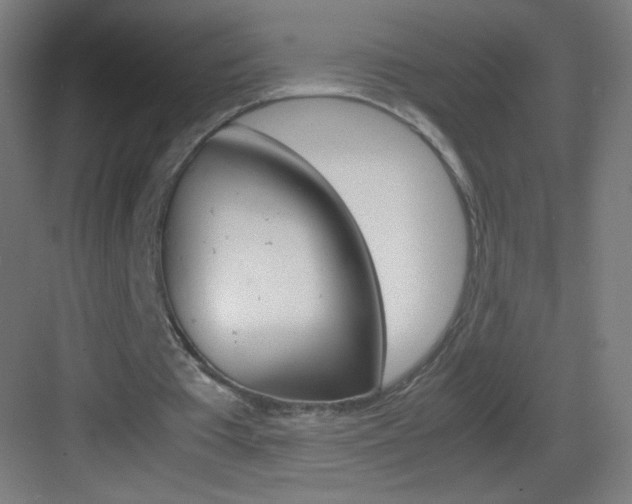 X0000083580385200702090847