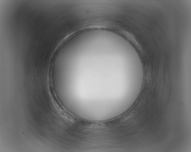 X0000083580386200702090847