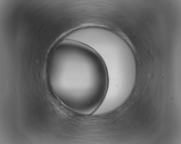 X0000083580387200702090846