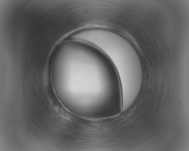 X0000083580388200702090846