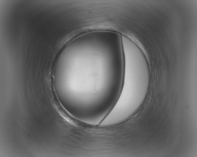 X0000083580389200702090846