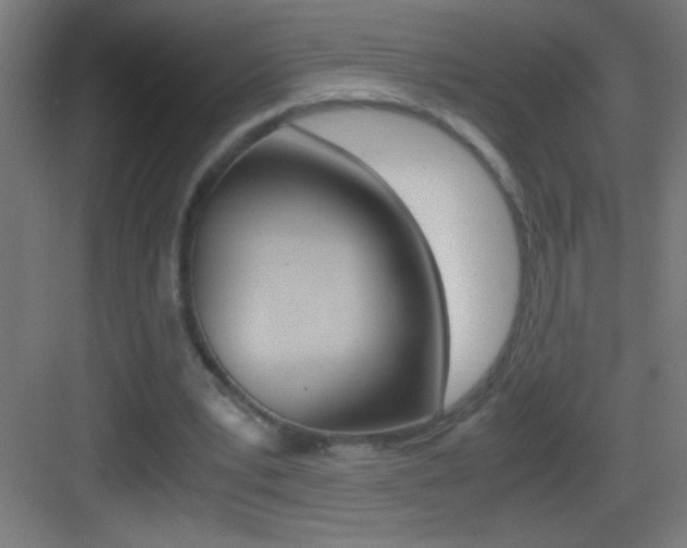 X0000083580391200702090846