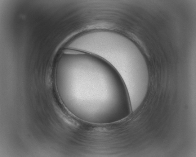 X0000083580392200702090846
