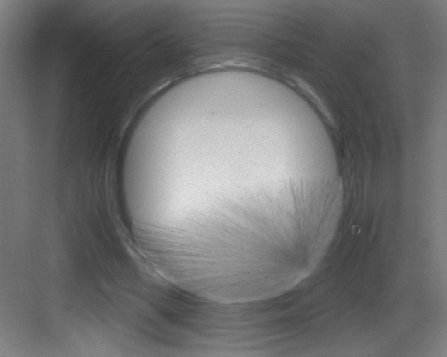 X0000083580394200702090846