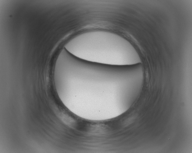 X0000083580396200702090846