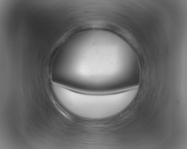 X0000083580397200702090846