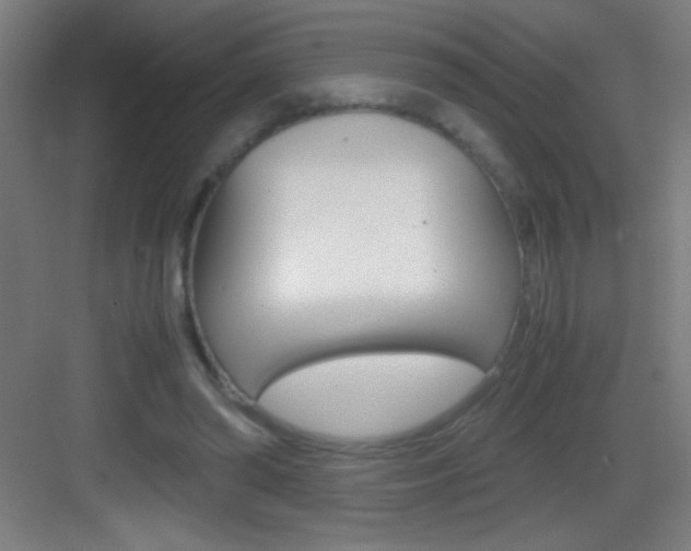 X0000083580398200702090846