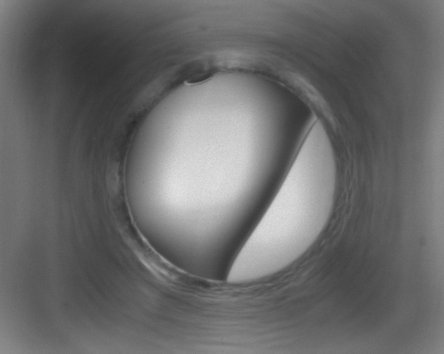 X0000083580401200702090846
