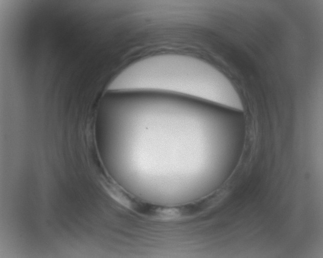 X0000083580409200702090846
