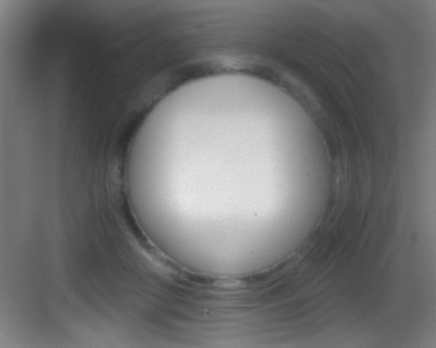 X0000083580410200702090846