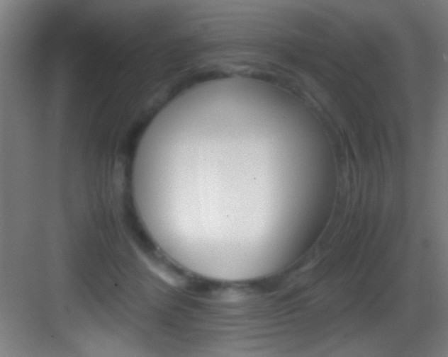 X0000083580412200702090846
