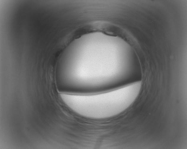 X0000083580413200702090846