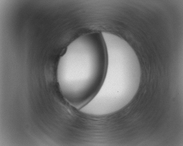 X0000083580416200702090846