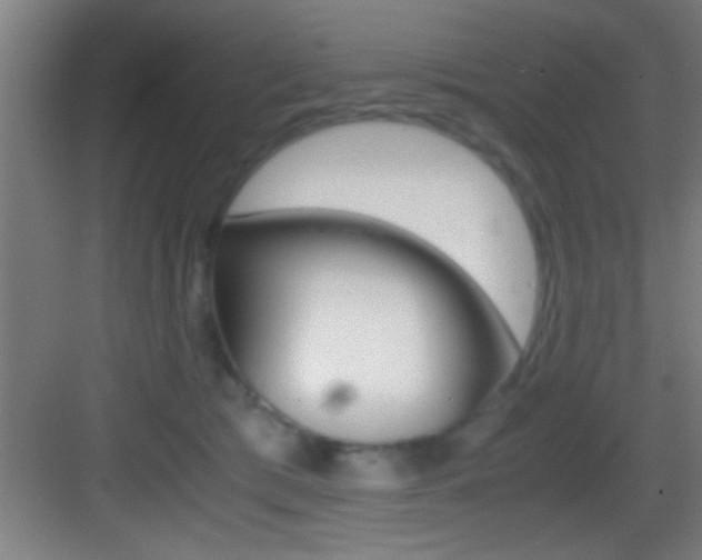X0000083580417200702090846