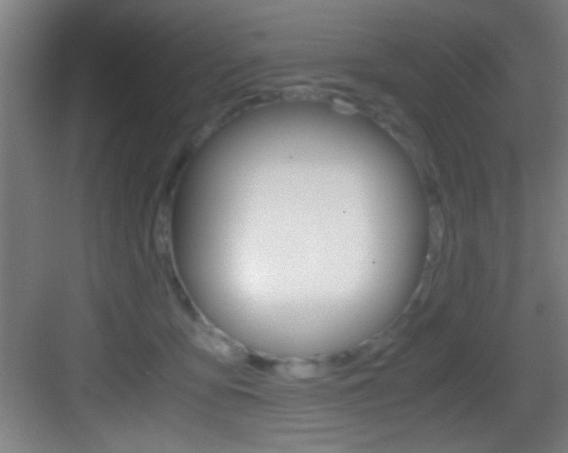 X0000083580419200702090846