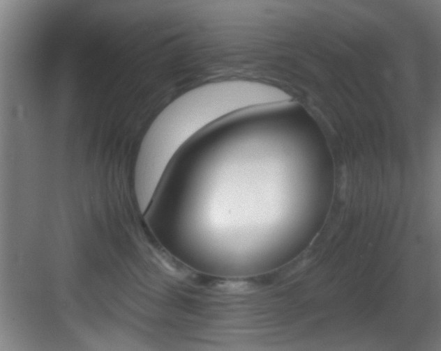 X0000083580428200702090846