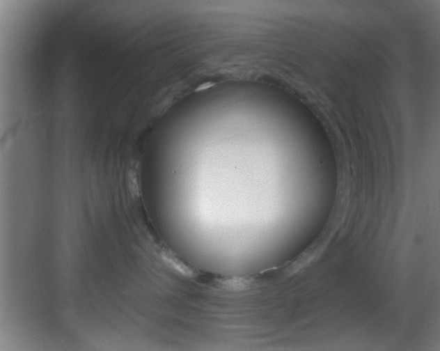 X0000083580432200702090846