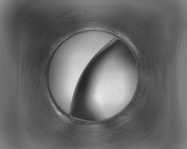 X0000083580433200702090845