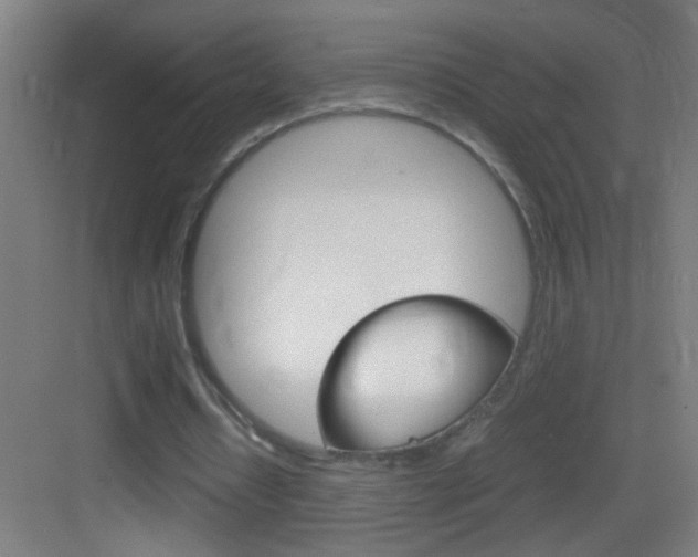 X0000083580434200702090845
