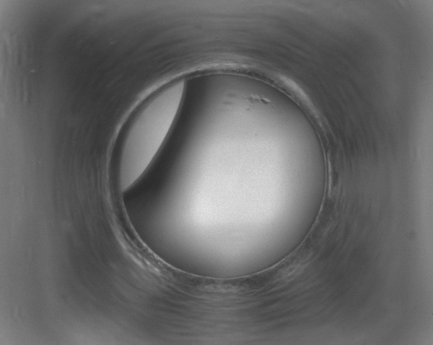 X0000083580435200702090845