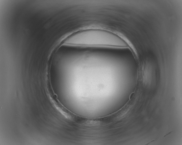 X0000083580437200702090845
