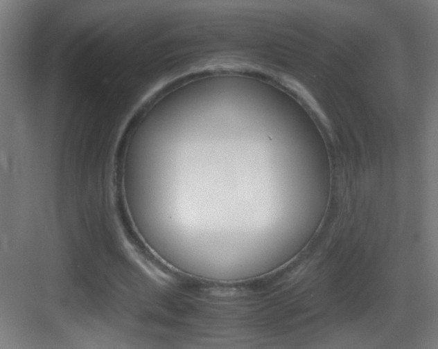 X0000083580439200702090845
