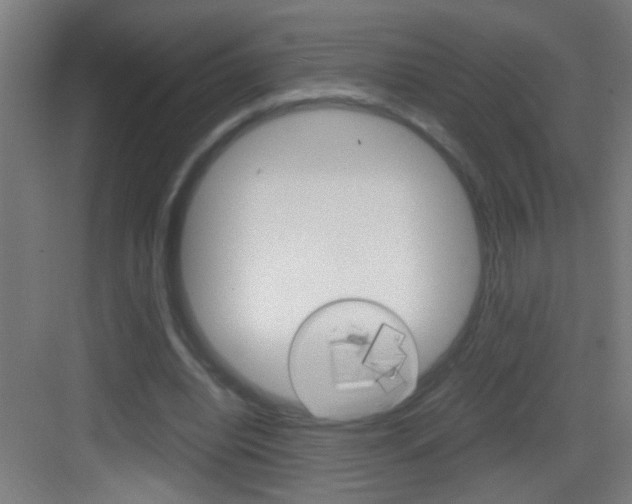 X0000083580440200702090845