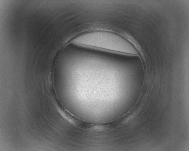 X0000083580441200702090845