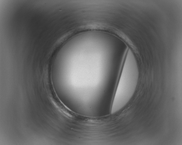 X0000083580442200702090845