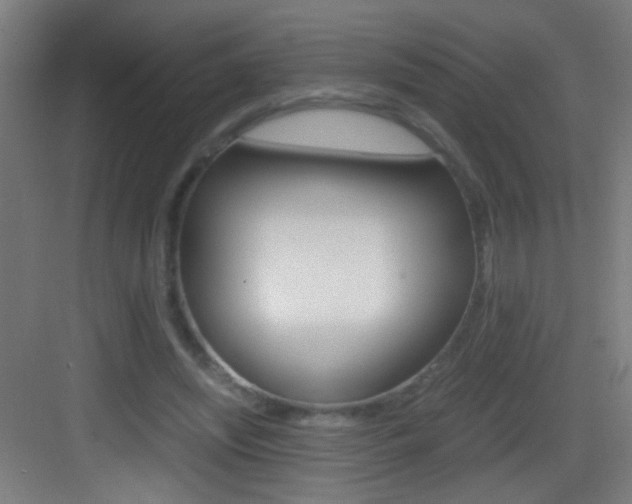 X0000083580444200702090845