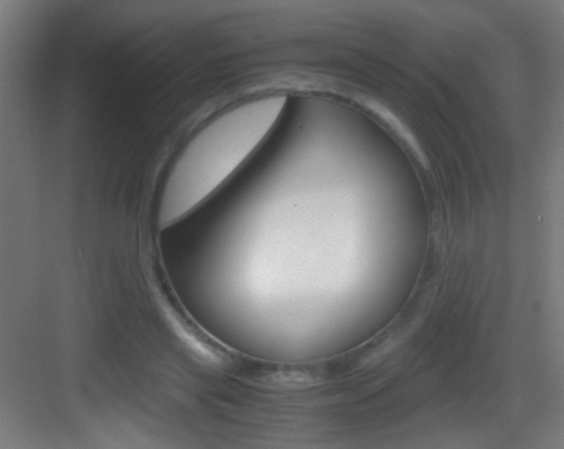 X0000083580445200702090845