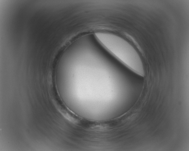 X0000083580447200702090845