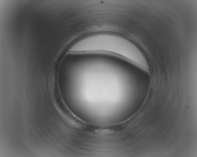 X0000083580448200702090845