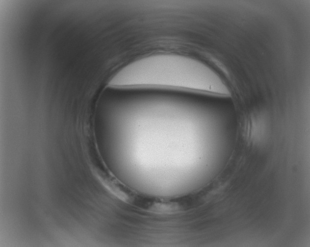 X0000083580455200702090845