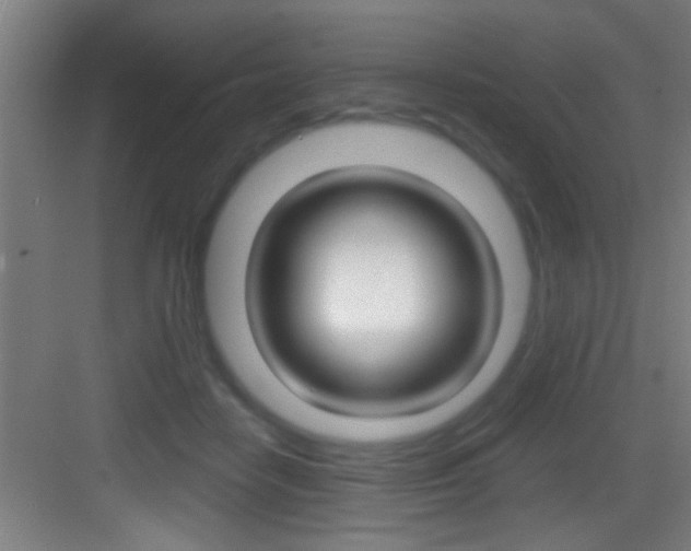 X0000083580458200702090845