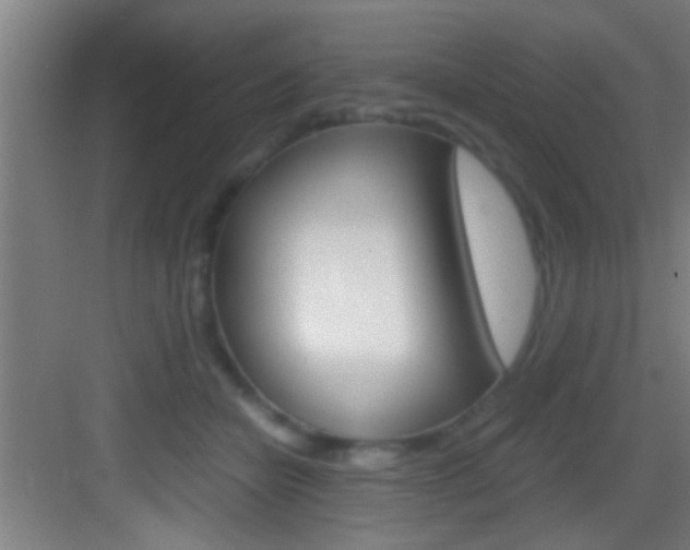 X0000083580462200702090845