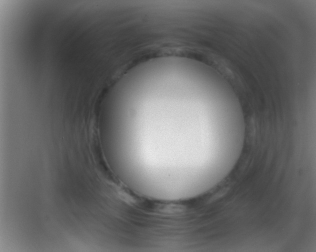 X0000083580463200702090845