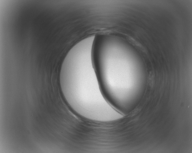 X0000083580474200702090846