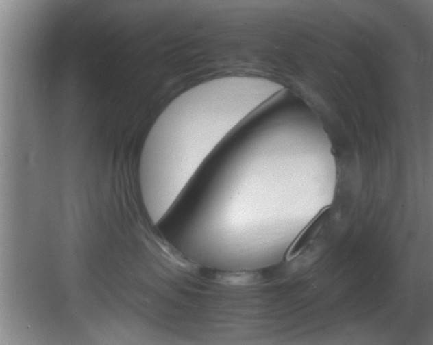 X0000083580479200702090846