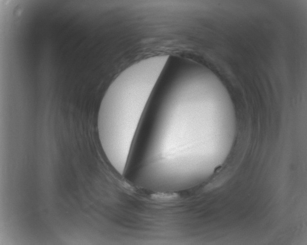 X0000083580480200702090846