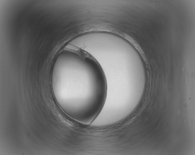 X0000083580481200702090845