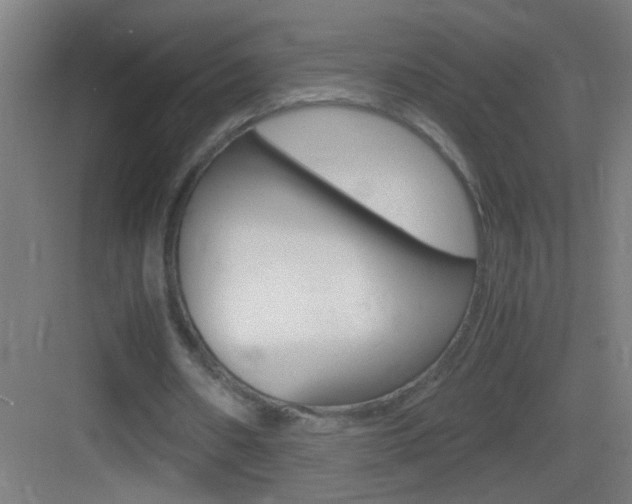 X0000083580482200702090845