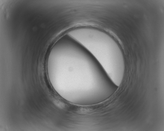 X0000083580487200702090845