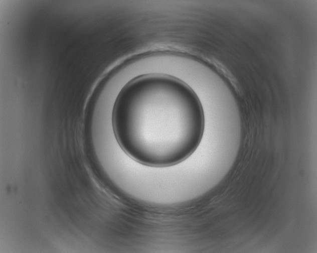 X0000083580488200702090845