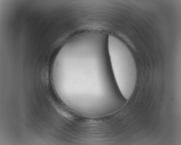 X0000083580494200702090845