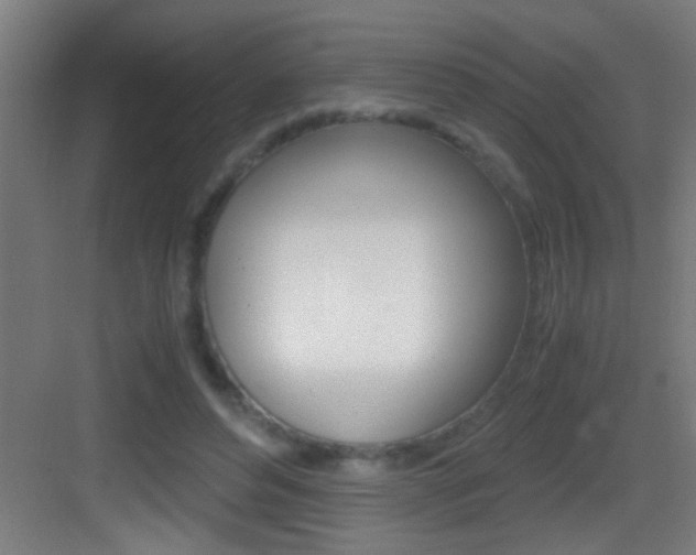 X0000083580496200702090845