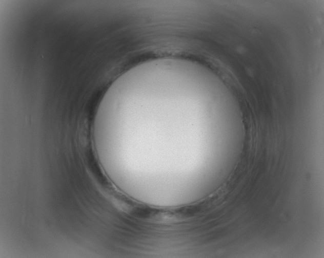 X0000083580498200702090845