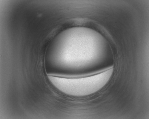 X0000083580505200702090844