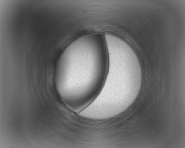 X0000083580509200702090844
