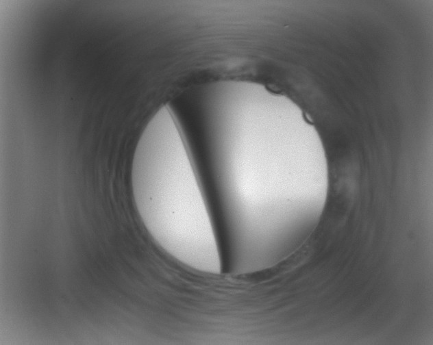 X0000083580515200702090844